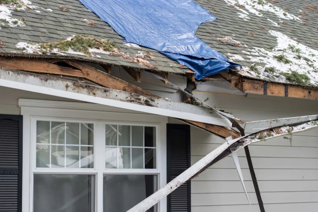 Residential house crushed by fallen trees and tree limbs during severe winter storm with strong winds. Tarp is placed on the damaged rooftop area as a temporary measure before proper roof repairs