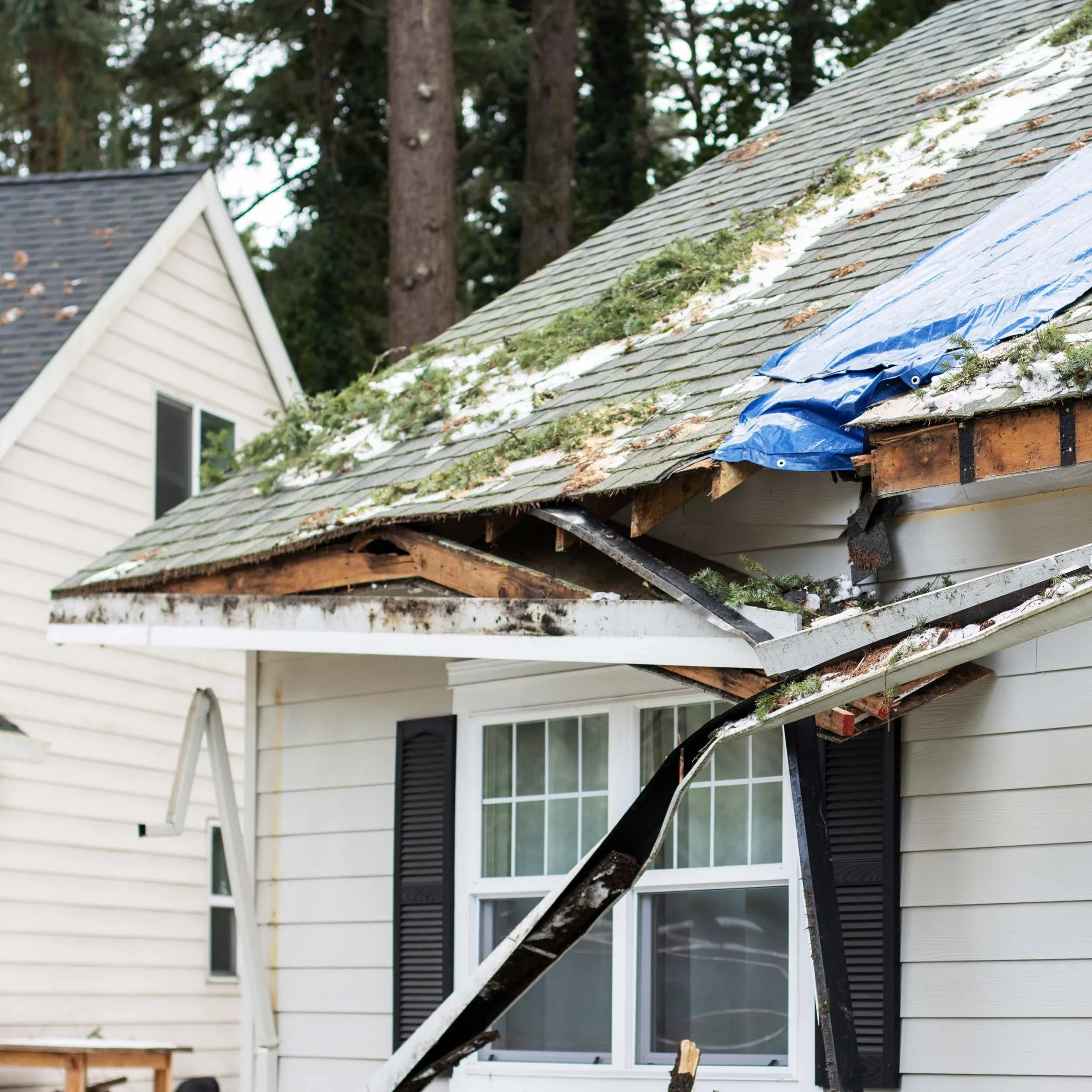 DMV Storm Damage Repair project