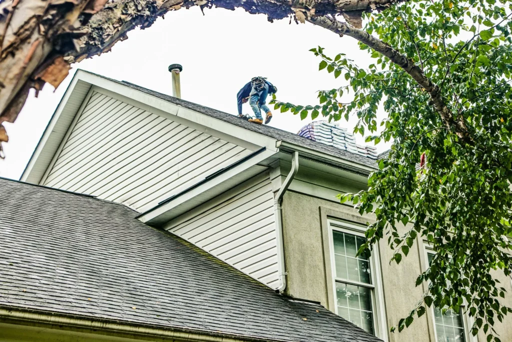 Professional Roofer Roof
